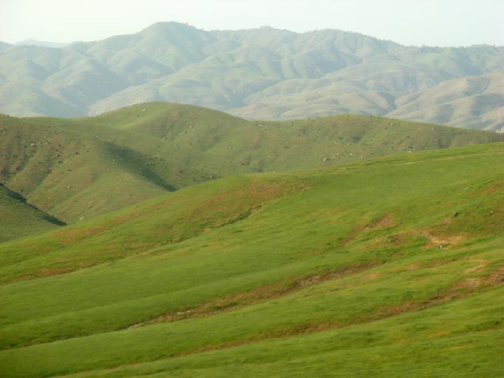 17-Californie 0005.JPG